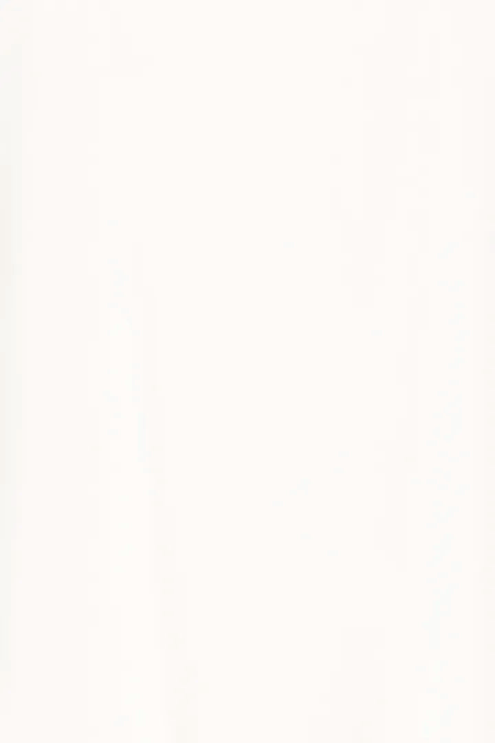 ICHI Monora Short Sleeve T-Shirt in Cloud Dancer - 20125104